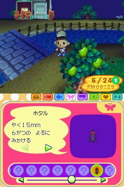 Animal Crossing: Wild World