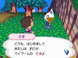 Animal Crossing: Wild World