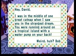 Carta de Animal Crossing - Cameo de Super Mario Sunshine (GCN)