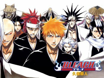 Ichigo y parte del Gotei 13