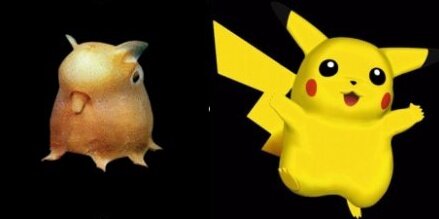 Pikachu y Grimpoteuthis
