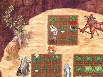 Rune Factory