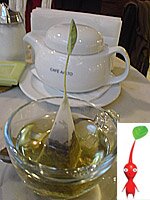 Una deliciosa taza de Té de Pikmin