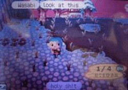 Viaje en el Tiempo en Animal Crossing: Wild World